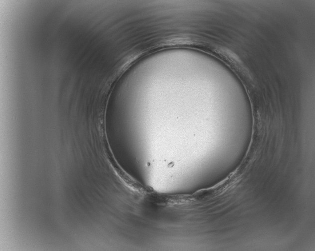 X0000067481225200604281911