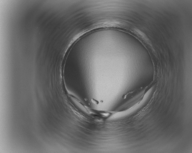 X0000067481226200604281911