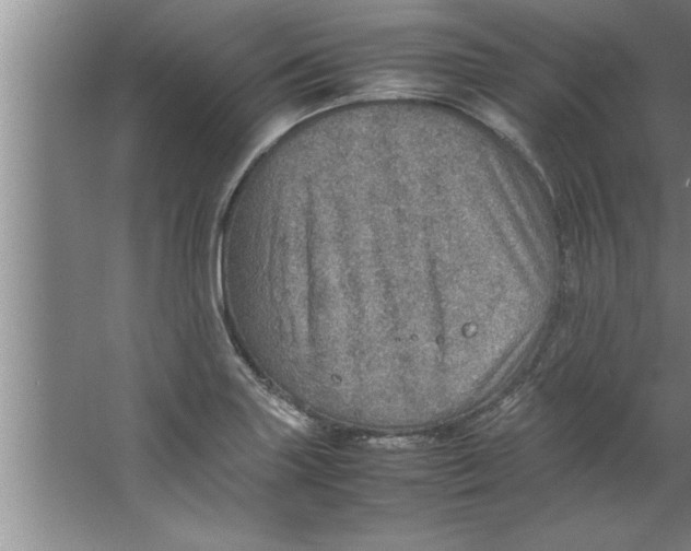 X0000067481227200604281911