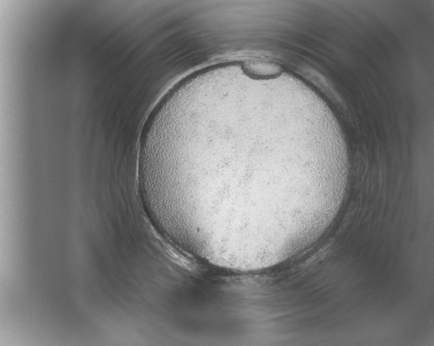 X0000067481228200604281911