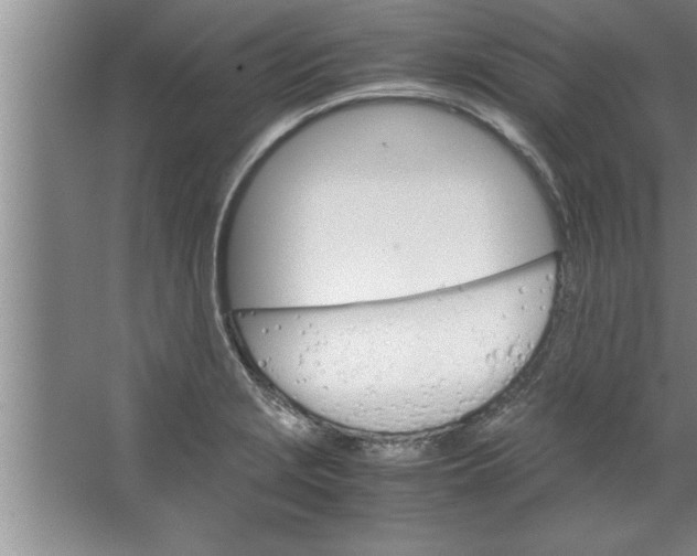 X0000067481229200604281911