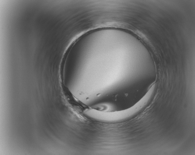 X0000067481230200604281911