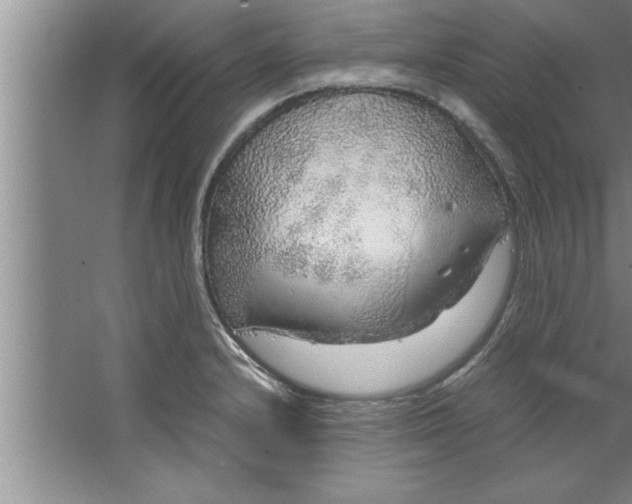 X0000067481232200604281911