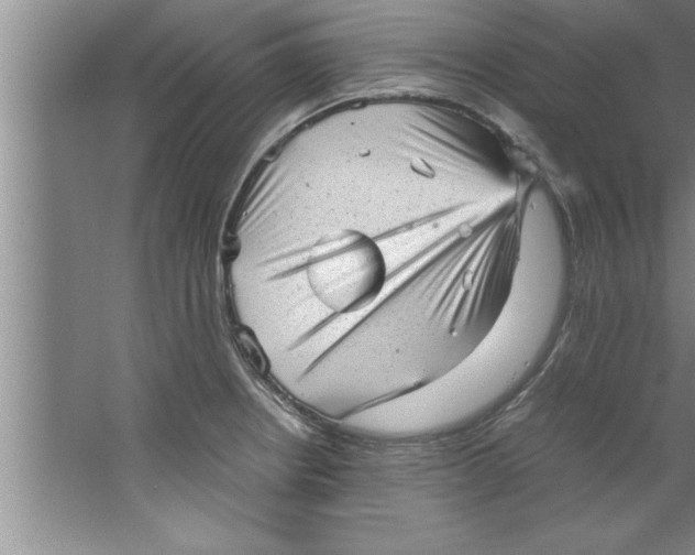 X0000067481234200604281912