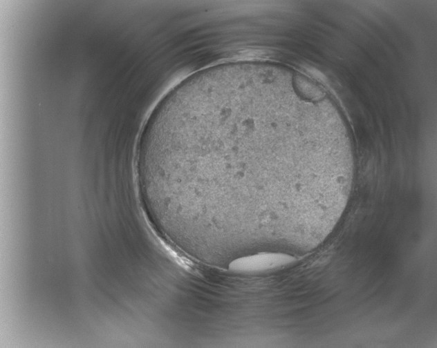 X0000067481235200604281912