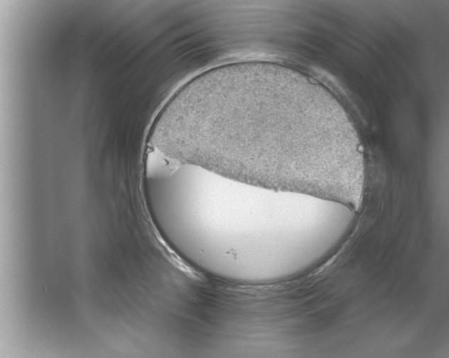 X0000067481236200604281912