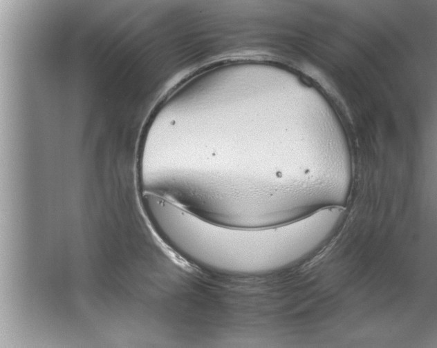 X0000067481237200604281912