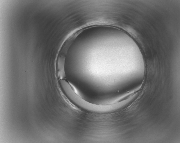 X0000067481238200604281912