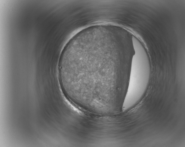 X0000067481239200604281912