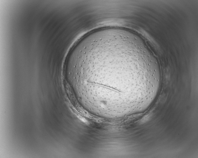 X0000067481240200604281912