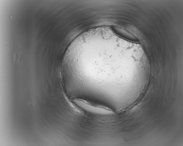 X0000067481241200604281912