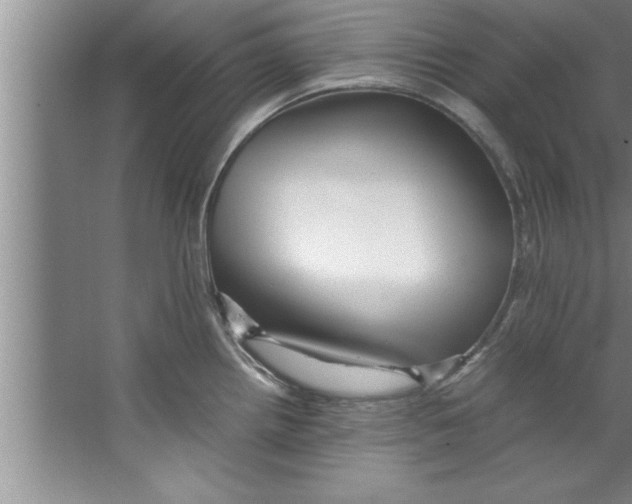 X0000067481242200604281912