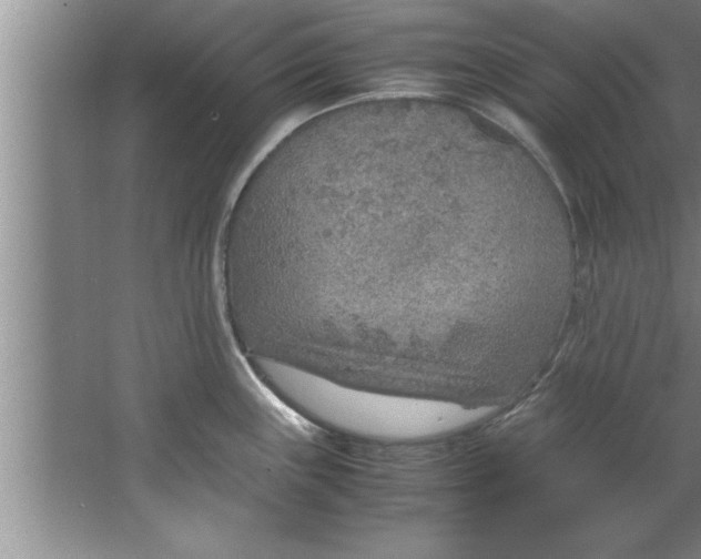 X0000067481243200604281912