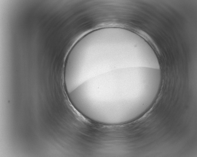 X0000067481244200604281912