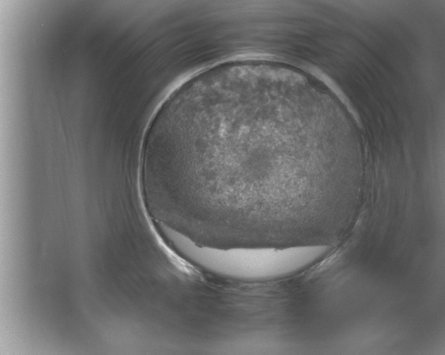 X0000067481245200604281912