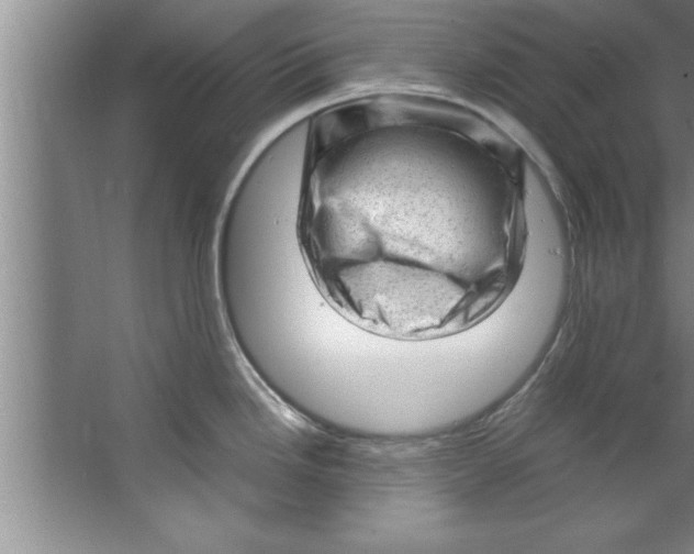 X0000067481246200604281912