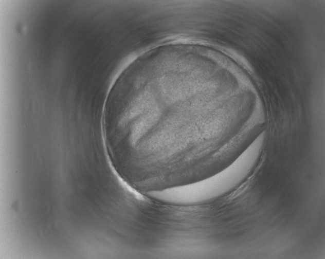 X0000067481247200604281912