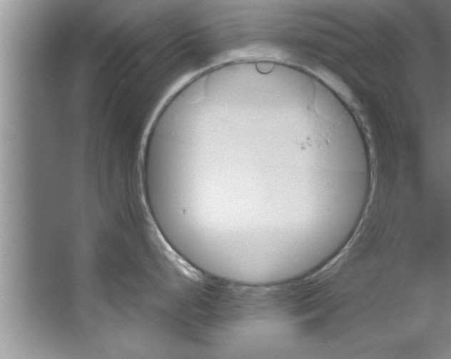 X0000067481248200604281912