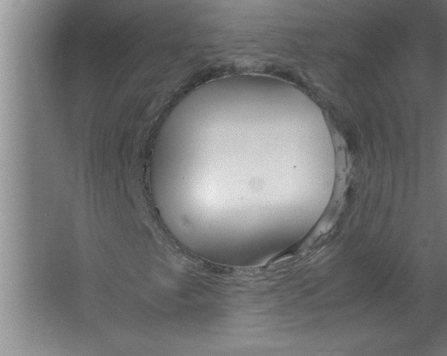 X0000067481249200604281911