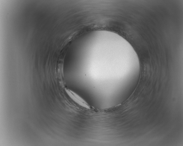 X0000067481250200604281911