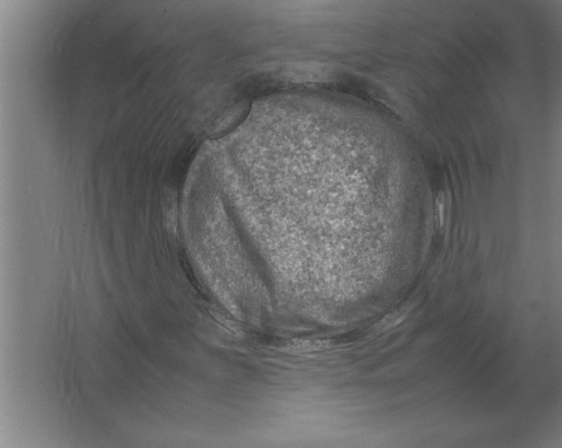 X0000067481251200604281911