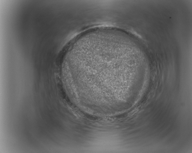 X0000067481255200604281911