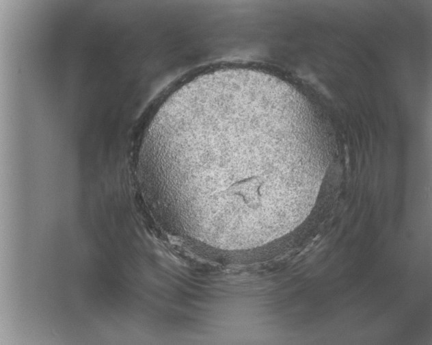 X0000067481256200604281911