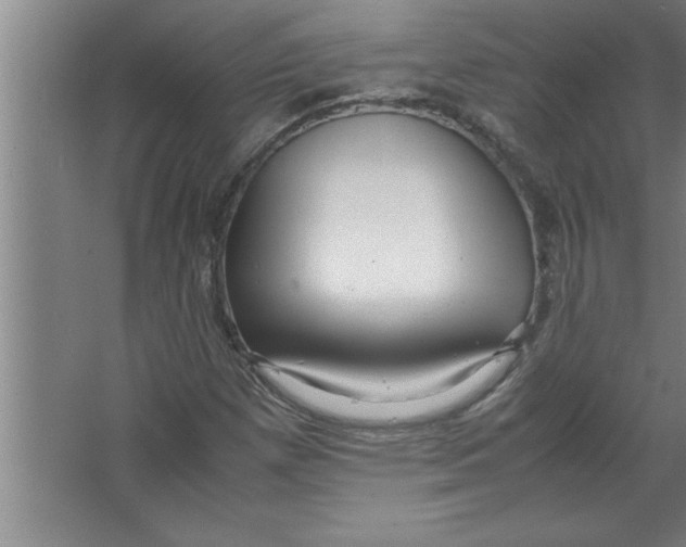 X0000067481257200604281911