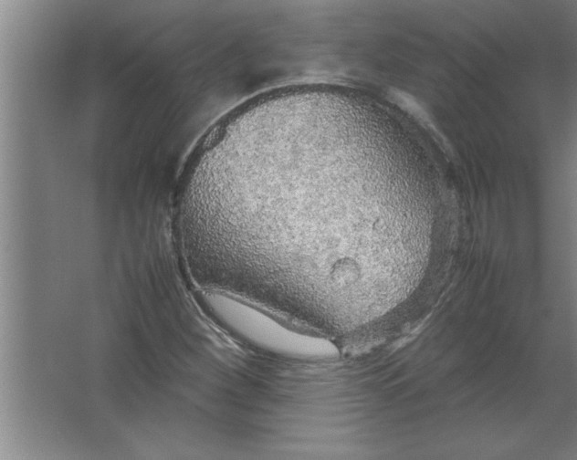 X0000067481260200604281911