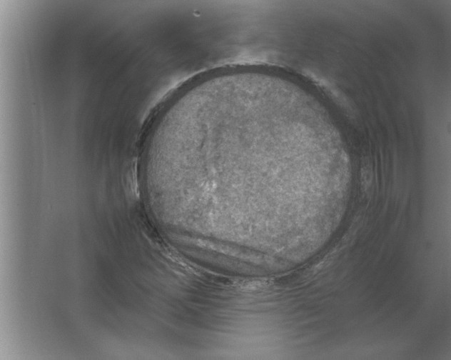 X0000067481262200604281911