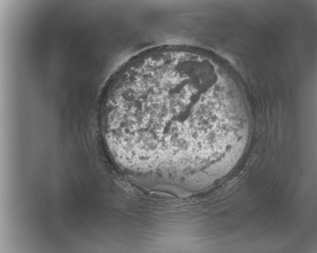 X0000067481263200604281911