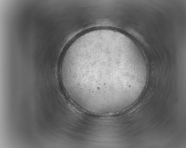 X0000067481264200604281911