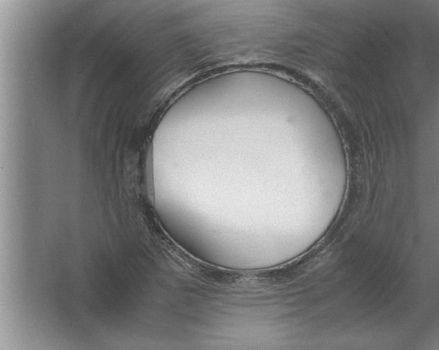 X0000067481265200604281911