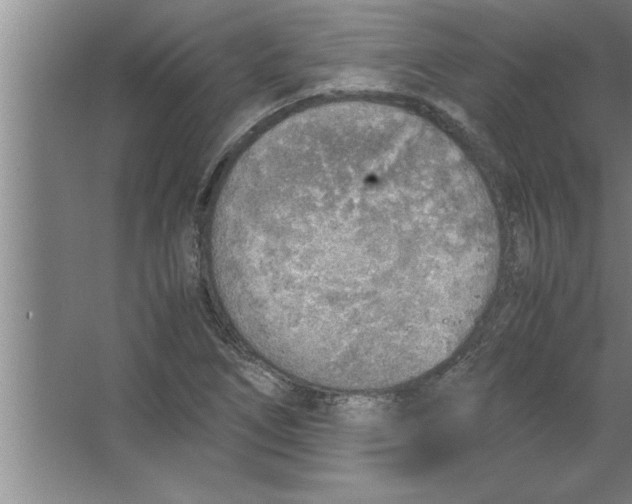 X0000067481266200604281911