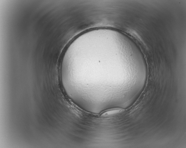 X0000067481268200604281911