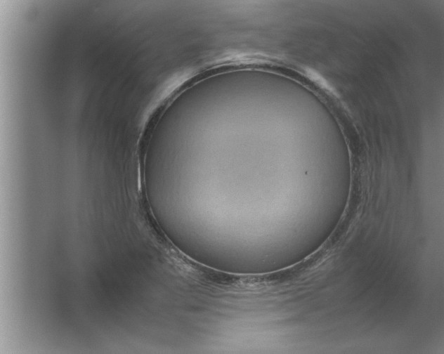 X0000067481269200604281911