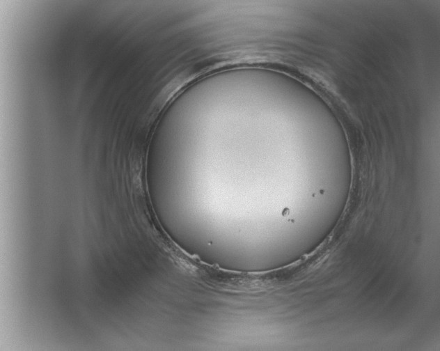 X0000067481273200604281911