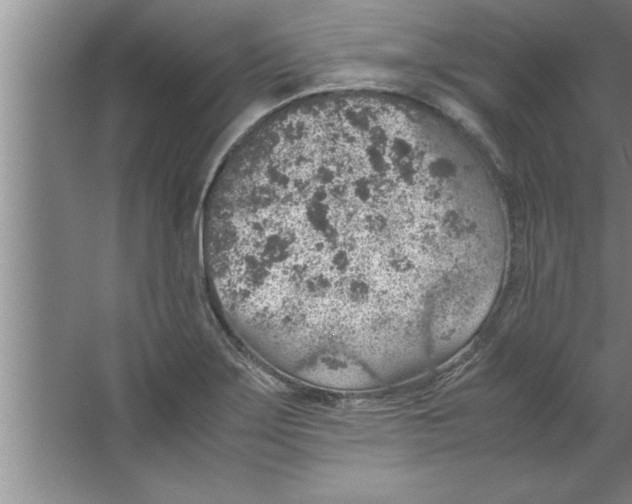 X0000067481275200604281911