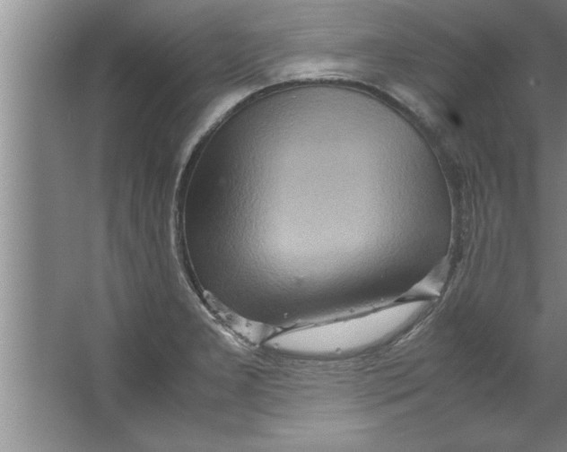 X0000067481277200604281910