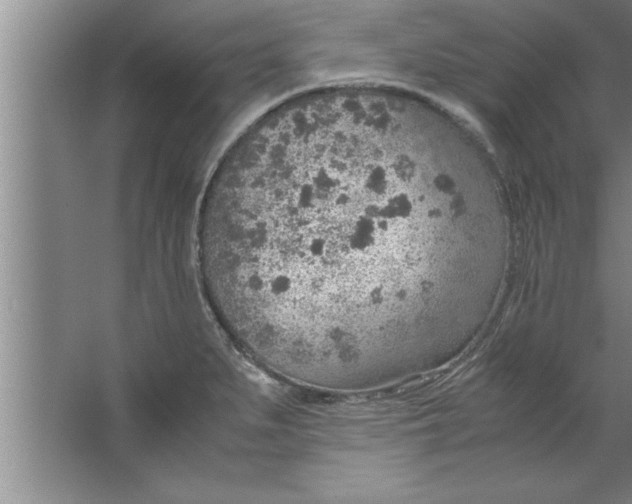 X0000067481279200604281910