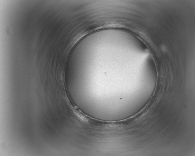 X0000067481281200604281910