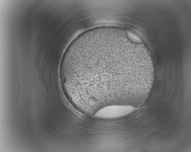 X0000067481283200604281910