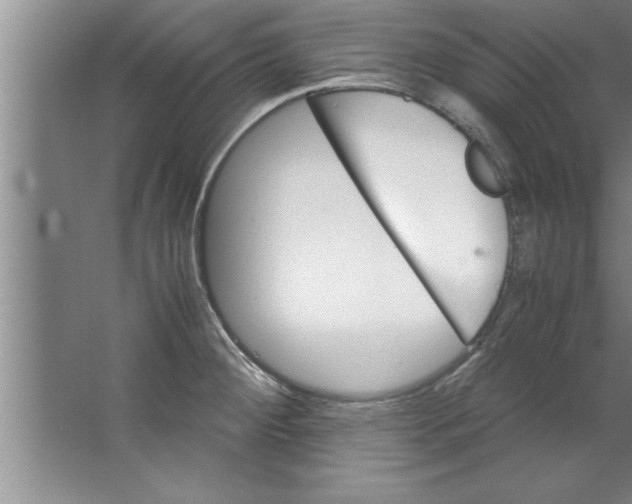 X0000067481284200604281910