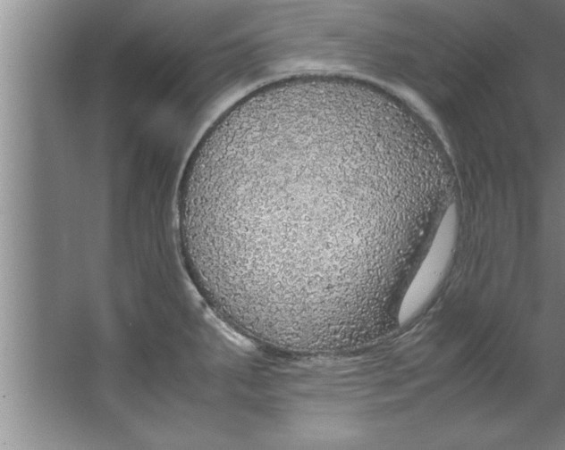 X0000067481287200604281910