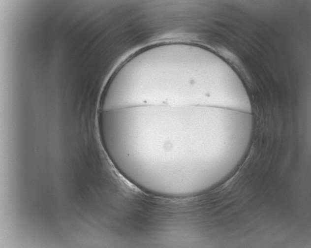 X0000067481288200604281910