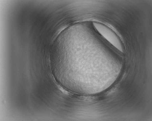 X0000067481289200604281910