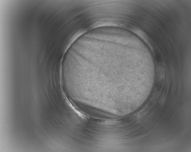 X0000067481290200604281910