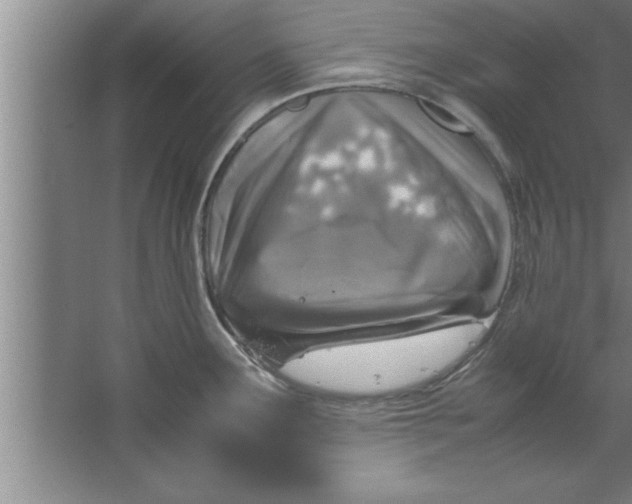 X0000067481291200604281910