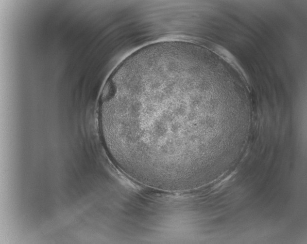 X0000067481292200604281910