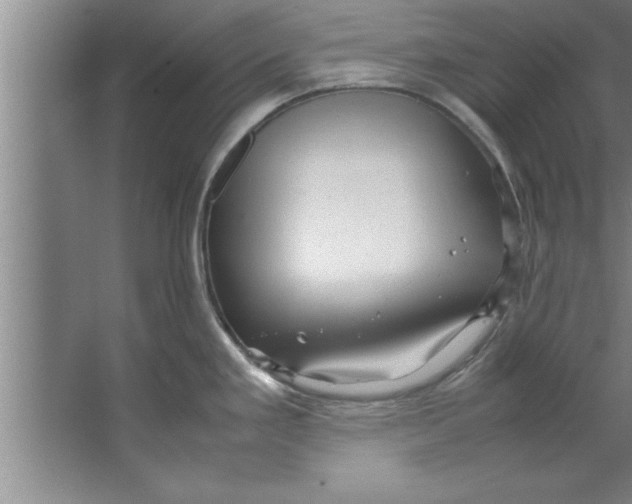 X0000067481293200604281910